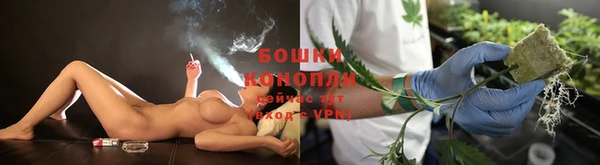 PSILOCYBIN Белокуриха