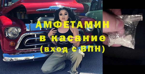 PSILOCYBIN Белокуриха