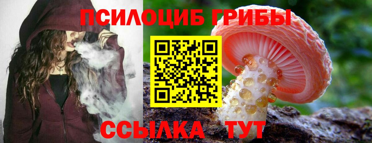Галлюциногенные грибы Psilocybe Бор
