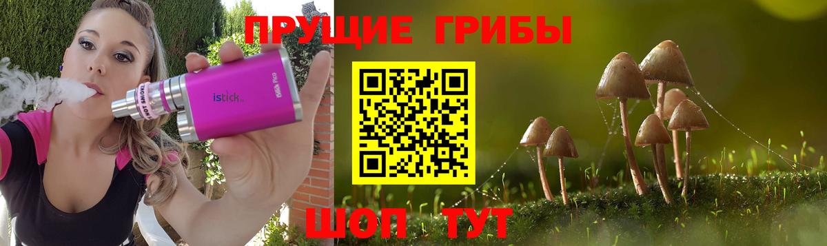 Галлюциногенные грибы Magic Shrooms  Вход с VPN  купить наркоту  Бор 